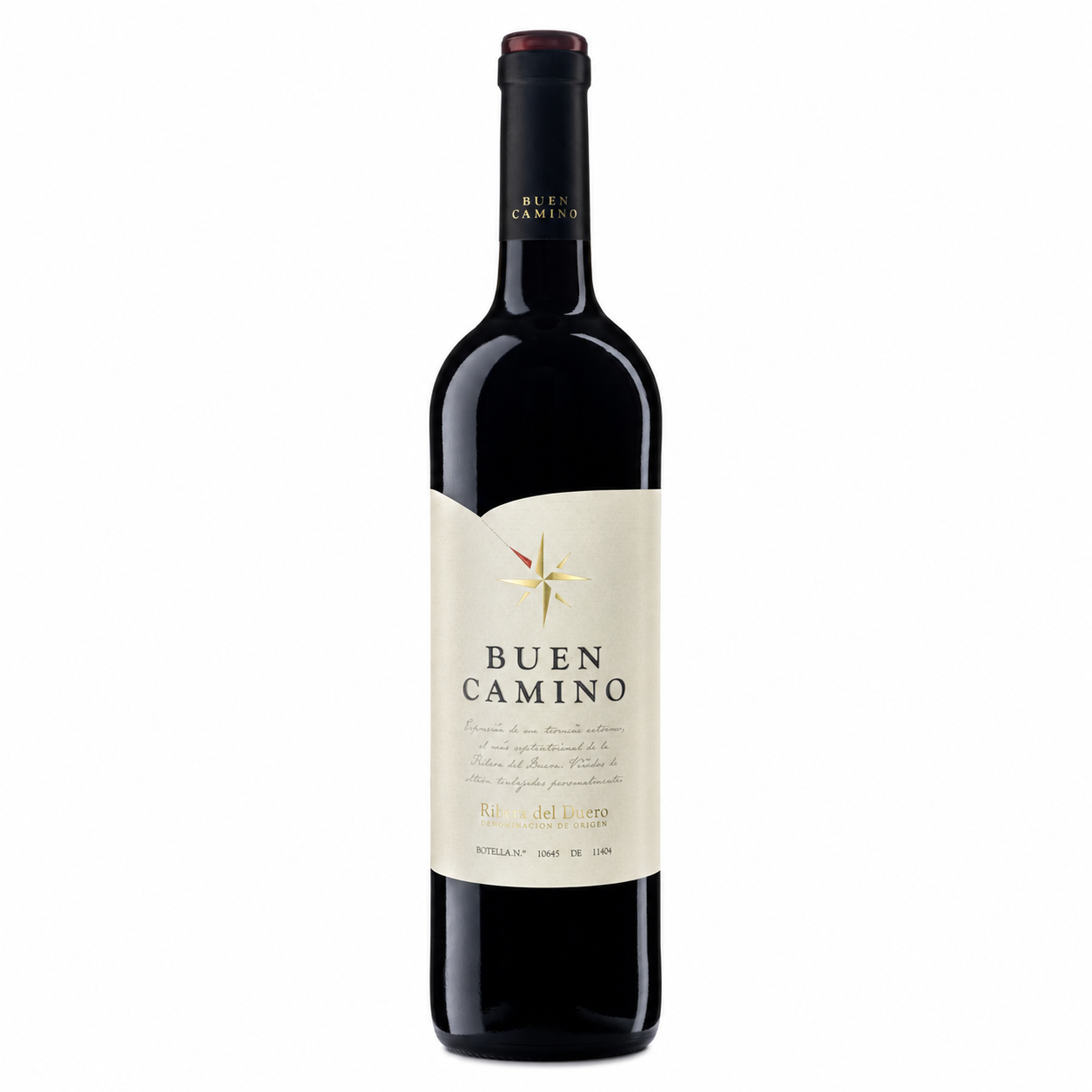 Buen Camino 2018